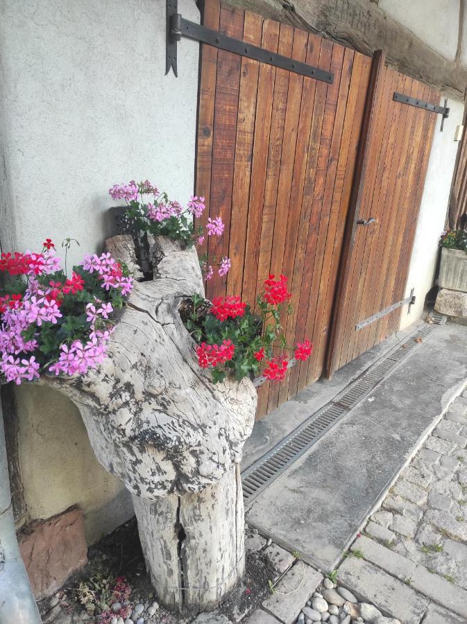 Gite de peupliers Valdieu Extérieur photo